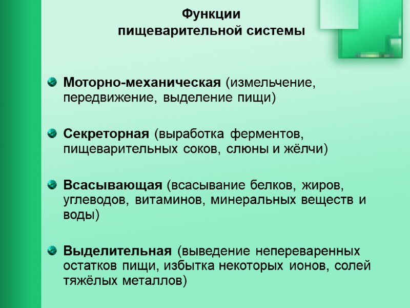 Функции пищеварительной системы  Моторно-механическая (измельчение, передвижение, выделение пищи)   Секреторная (выработка ферментов,